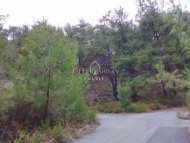 RESIDENTIAL PLOT FOR SALE IN PANO PLATRES 997 SQ M - 1
