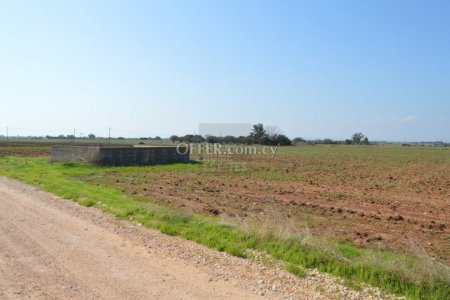 Agriculture Land in Avgorou