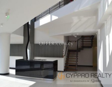 2 Bedroom Penthouse with Roof Garden in Agios Tychonas