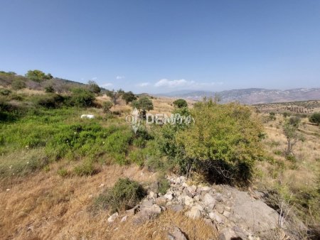 Agricultural Land For Sale in Pentalia, Paphos - DP2351 - 1