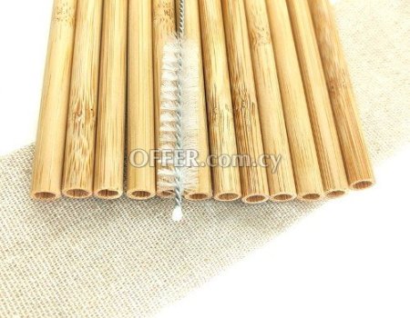 Bamboo Straws 20cm Reusable 12pcs + Bag + Cleaning Brush - 3