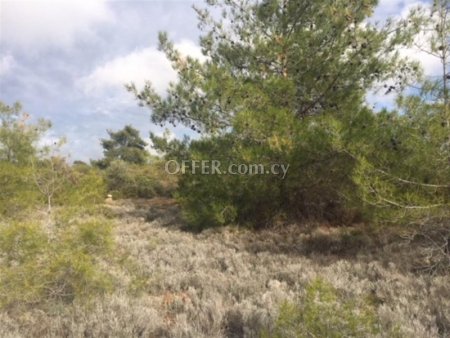 New For Sale €400,000 Plot Souni Limassol