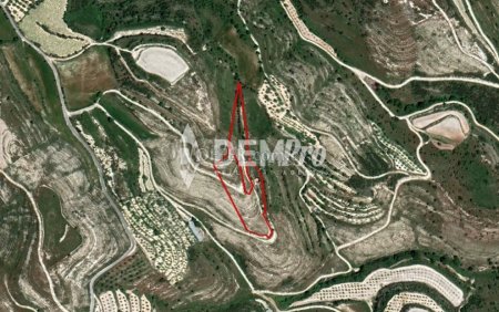 Agricultural Land For Sale in Tsada, Paphos - DP3081 - 1