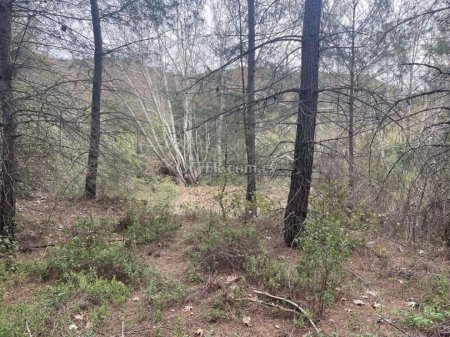 Land Parcel 1200 sm in Kato Platres, Limassol