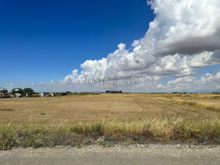 Agricultural field in Avgorou