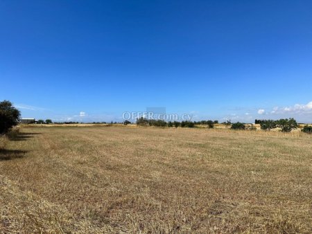 Agricultural field in Avgorou