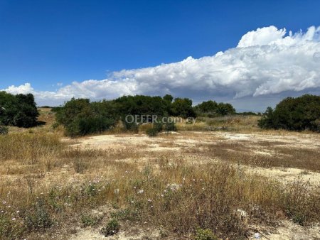 Residential/Commercial field in Deryneia