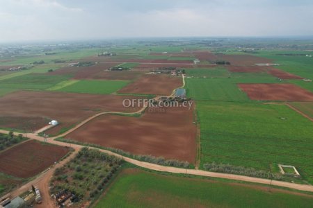 Agricultural field in Avgorou