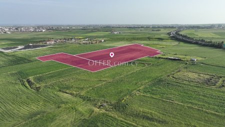 Fields in Aradippou Larnaca