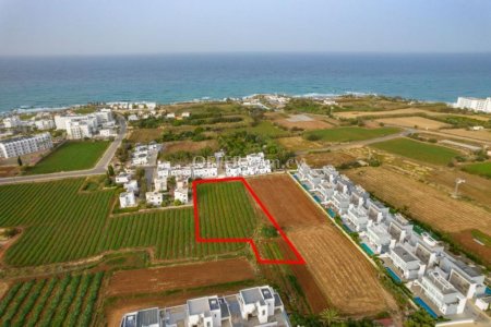 Shared tourist field in Paralimni Famagusta