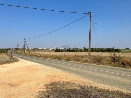 Agricultural field in Frenaros