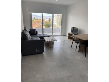 Brand New Fully Furnished One Bedroom Apartment in Agios Dometios Nicosia - 6