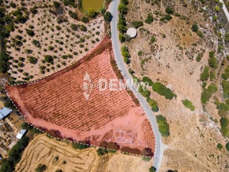 Residential Land  For Sale in Fyti, Paphos - DP3618 - 6
