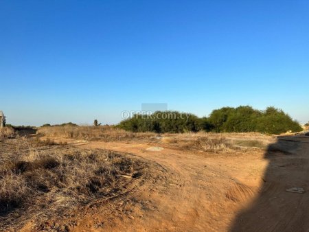 Residential field in Paralimni