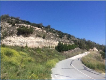 Field for sale in Amargeti, Paphos