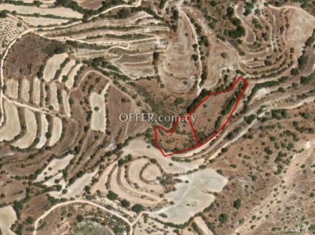 Agricultural Field for sale in Amargeti, Paphos