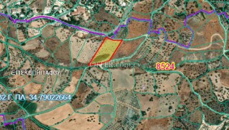Agricultural Field for sale in Episcopi Paphou, Paphos - 1