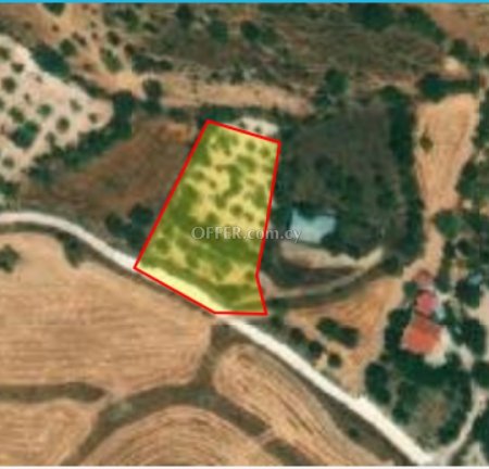 Field for sale in Milia Pafou, Paphos - 1