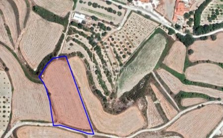 Agricultural Field for sale in Stroumbi, Paphos