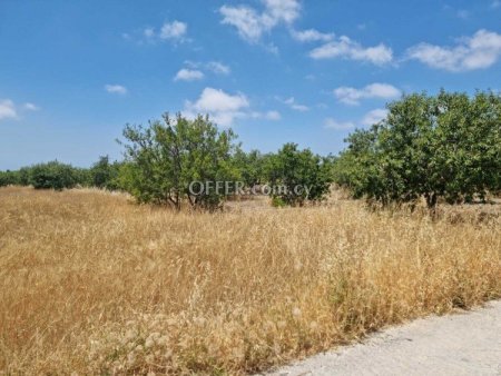 Residential Field for sale in Konia, Paphos - 3