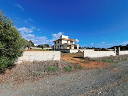 Detached Villa Ayia Napa