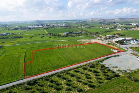 Shared field in Athienou Larnaca