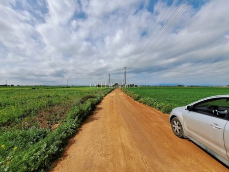 Agriculture Field Frenaros