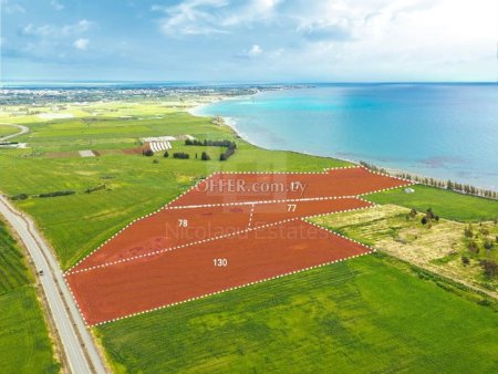Beachfront Fields for Sale in Softades Larnaka