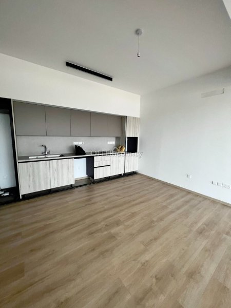 BRAND NEW TWO BEDROOM FULLY FURNSIHED  APARTMENT FOR RENT - 9