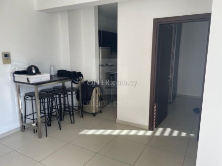 Fully Furnished One Bedroom Apartment for Rent in Aglantzia Nicosia - 6