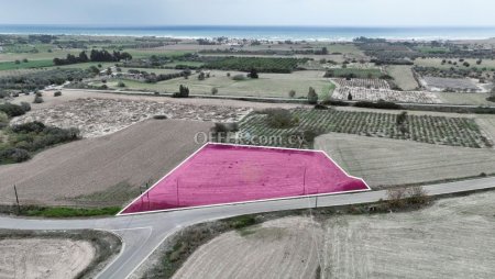 Field for Sale in Mazotos, Larnaca - 6