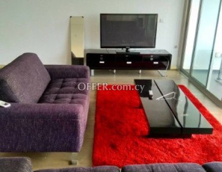 2-bedroom luxury penthouse for rent - 3