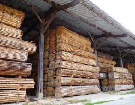 Buy European Oak Timber