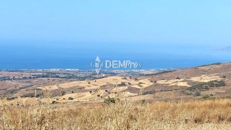 Agricultural Land For Sale in Droushia, Paphos - DP4159