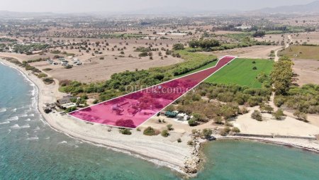 Field for Sale in Mazotos, Larnaca