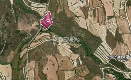 Agricultural Land For Sale in Kathikas, Paphos - DP3278 - 4