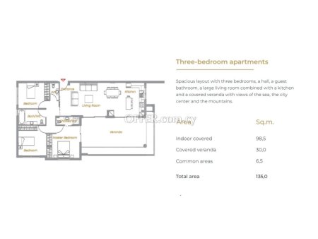 Brand new luxury 3 bedroom apartment in the Dasoudi area Potamos Germasogias