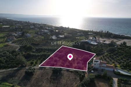 Residential field Agia Marina Chrysochou Paphos - 3