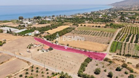 Agricultural Land For Sale in Argaka, Paphos - DP4165