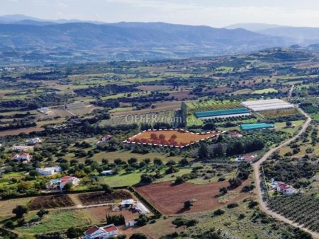 Field for sale in Neo Chorio, Paphos