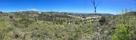 Agricultural Field for sale in Tsada, Paphos