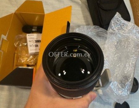 Sony FE 70-200mm F/2.8 Lens - 5
