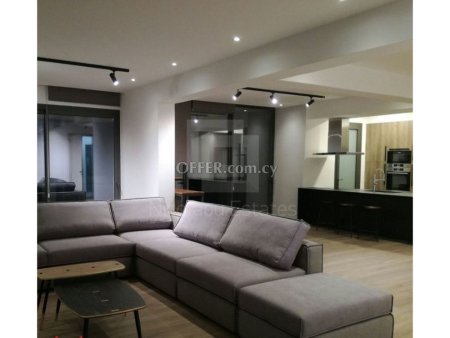 Huge four bedroom luxury penthouse with roof garden in Engomi near American Embassy