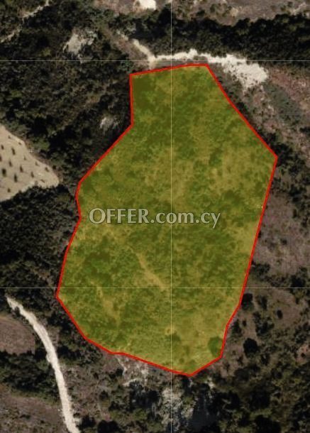 Agricultural Field for sale in Simou, Paphos