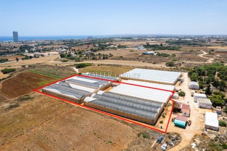 Agricultural field with greenhouses in Agia Napa Famagusta