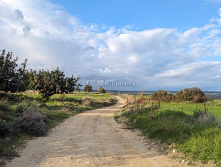 Land Parcel 16389 sm in Avdimou, Limassol