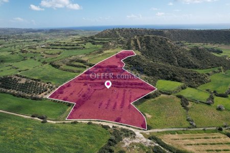 Field, Pissouri, Limassol