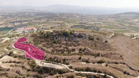 Agricultural field in Stroumbi, Paphos