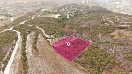 Agricultural field, Vouni, Limassol