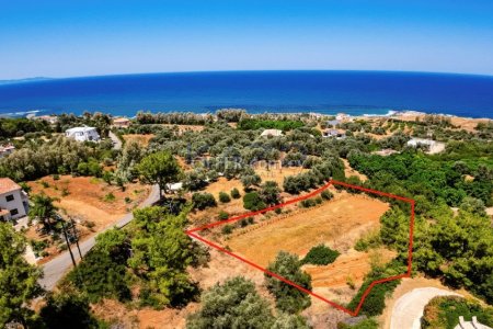 Field in Pomos, Paphos